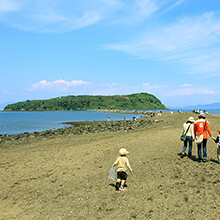 知林ヶ島