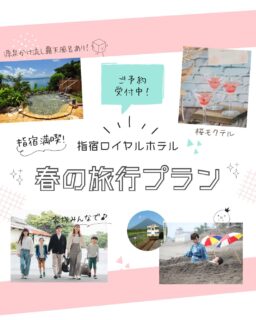 春のご宿泊プランのご紹介です！

春は卒業・就職・転勤・部署異動など、
人生の節目が重なる季節ですね🌸
新しいスタートを祝う旅にぴったりなプランを販売中✈️🧳

そして、3月〜5月は指宿ロイヤルホテルの【母月間】
素直に言えない「ありがとう」を旅にのせて。

「ねぇ、一緒に指宿へ行こう。」

言葉の代わりに贈るのは、
心に残る“一緒に過ごす時間”。
指宿で、想いが伝わる旅を贈りませんか😌

ぜひご予約の際の参考にしてみださいね♪

あったか割のご予約もお待ちしております★
ーーーーーーーーーーーーーーーー

ご予約・お問い合わせ

指宿ロイヤルホテル
📞0993-23-2211
受付時間　9:00〜17:00

鹿児島県指宿市十二町4232-1 
指宿駅からタクシーで6分にある指宿ロイヤルホテル

#指宿ロイヤルホテル #ibusukiroyalhotel #指宿 #鹿児島 #卒業旅行