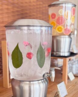 ホテルの2階ロビーにある
季節のデトックスウォーター⁣が
3月より『Spring Special🌸』に変わりました♪⁣
⁣
春らしい『桜の塩漬け』と『いちご』⁣
美肌、美白、疲労回復などの効果があります😌⁣
⁣
ホテルご利用のお客様はご自由にお召し上がりいただけます✨⁣
⁣
ほんのり甘いいちごの香りと
桜のやさしい塩味がふわっと広がる⁣
春だけの特別なデトックスウォーターです🌸🍓⁣
⁣
ご到着のひとときや、温泉・砂むしのあとに⁣
ほっとひと息つきながら
春の味わいをお楽しみください。⁣
⁣
指宿ロイヤルホテルで、⁣
季節を感じる小さなおもてなしをぜひ😌🌿⁣
⁣
ーーーーーーーーーーーーーーーー⁣
⁣@ibusukiroyalhotel
☝🏻タップして他の投稿もチェック★⁣
ご予約・お問い合わせ⁣
⁣
⁣
指宿ロイヤルホテル⁣
📞0993-23-2211⁣
受付時間　9:00〜17:00⁣
⁣
鹿児島県指宿市十二町4232-1 ⁣
指宿駅からタクシーで6分にある指宿ロイヤルホテル

#指宿ロイヤルホテル #指宿 #鹿児島