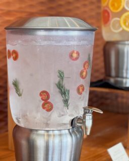 🌿 ちょっとひと息、からだにご褒美 🌿

ロビーのデトックスウォーターが変わりました🫧

ローズマリーやミントの爽やかさに、
トマトのやさしい甘みをプラス🍅✨🌿

見た目もかわいくて、
思わず写真を撮りたくなる一杯📸🤍

すっきりしたいときや、
湯上がりのリフレッシュにぜひ🌿

“飲む癒し時間”、ご用意してます🕊️

ーーーーーーーーーーーーーーーー⁣
⁣@ibusukiroyalhotel
☝🏻タップして他の投稿もチェック★⁣

ご予約・お問い合わせ⁣
📞0993-23-2211⁣
受付時間　9:00〜17:00⁣
⁣
鹿児島県指宿市十二町4232-1 ⁣
指宿駅からタクシーで6分にある指宿ロイヤルホテル

#指宿ロイヤルホテル #ibusukiroyalhotel #指宿 #鹿児島旅行 #鹿児島