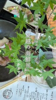 「どれにする？」って選ぶ時間から、もう楽しい🤍🐟
 
その日、指宿で水揚げされたお魚の中から
好きなネタを選んでつくる“わたしだけの海鮮丼”。
 
まずは胡麻ダレでこっくり、
最後はお出汁をかけてお茶漬けに…✨
一杯で2度おいしいのがたまらない🥺💭
 
そしてデザートはこのプラン限定の「生水無月」🤍
もっちりやさしい食感の生ういろう仕立てで、
“半年の無事を喜び、
　　　　これからの健康を願っていただく” 
　　　　　　　　　　　　　日本伝統の和菓子🌿
 
美味しいだけじゃなくて、
ちゃんと意味があるのもなんか好き💭
 
半年がんばった自分にちょっとご褒美と、
これからの半年の無病息災を願いましょう
 
📍夏越の膳　平日限定・1日10組　限定⭐️

ーーーーーーーーーーーーーーーー⁣
⁣@ibusukiroyalhotel
☝🏻タップして他の投稿もチェック★⁣

ご予約・お問い合わせ⁣
-------------------
指宿ロイヤルホテル⁣
📞0993-23-2211⁣
受付時間　9:00〜17:00⁣
⁣
鹿児島県指宿市十二町4232-1 ⁣
指宿駅からタクシーで6分にある指宿ロイヤルホテル

#指宿ロイヤルホテル #指宿 #鹿児島 #温泉旅行