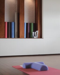 海を眺めながら、ゆっくり深呼吸。🧘‍♀️

当館のヨガルームは、錦江湾を一望できる開放的な空間です🌊

朝の静かな時間に身体を伸ばしたり、
旅の合間に少し気持ちを整えたり。

特別なことをしなくても、
海を見ながら過ごすだけで心がほどけていくような場所です。

ヨガマットやプロジェクターもご用意しておりますので、
動画を見ながらヨガをお楽しみいただけます🧘‍♀️✨✨

ご滞在の際は、ぜひお気軽にご利用ください♪

【ヨガルーム利用時間】
7:00〜21:30

ーーーーーーーーーーーーーーーー⁣
@ibusukiroyalhotel 
☝🏻タップして他の投稿もチェック★⁣

ご予約・お問い合わせ⁣
⁣指宿ロイヤルホテル⁣
📞0993-23-2211⁣
受付時間　9:00〜17:00⁣
⁣
鹿児島県指宿市十二町4232-1 ⁣
指宿駅からタクシーで6分にある指宿ロイヤルホテル

#指宿ロイヤルホテル #指宿 #温泉旅行 #鹿児島