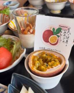 🥭 朝のプレートに甘酸っぱい季節のフルーツを✨✨
⁣
⁣
現在、指宿ロイヤルホテルの朝餉プレートでは⁣
季節のフルーツとしてパッションフルーツをご用意しています🥭✨⁣
⁣
南国らしい爽やかな酸味と⁣🌴
ぷちぷち食感が魅力のパッションフルーツは⁣
実は“美容と健康をサポートしてくれるフルーツ”💆🏻‍♀️

🌿 パッションフルーツのうれしいポイント⁣
・ビタミンCが含まれ、お肌の健康維持をサポート✨⁣
・食物繊維が豊富で、朝のすっきり習慣にも◎⁣
・β-カロテンやポリフェノールなどの抗酸化成分を含み、健やかな毎日を応援してくれます🍃⁣
⁣
旅先だからこそ、身体が喜ぶ朝食を
海を眺めながら味わう旬のひとくちが、
心も身体もゆっくり目覚めさせてくれるはずです😌
⁣
ご宿泊の際は、旬の味覚とともに、⁣
少し贅沢な朝時間をお楽しみください☀️⁣
ーーーーーーーーーーーーーーーー⁣
@ibusukiroyalhotel⁣
☝🏻タップして他の投稿もチェック★⁣

ご予約・お問い合わせ⁣
⁣
指宿ロイヤルホテル⁣
📞0993-23-2211⁣
受付時間　9:00〜17:00⁣
⁣
鹿児島県指宿市十二町4232-1 ⁣
指宿駅からタクシーで6分にある指宿ロイヤルホテル

#指宿ロイヤルホテル #指宿 #鹿児島 #温泉旅行