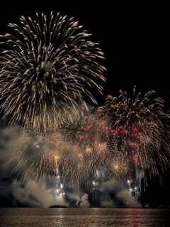🎆夜空を彩る、夏だけの特等席。

先日開催された「山川みなとまつり」の花火大会🎆

当館の目の前に広がる砂浜では
波音をBGMに花火をゆったりと眺める
贅沢なひとときを楽しめました🥺

人混みを離れ、まるで貸切のような砂浜で見上げる大輪の花火。
客室やレストラン、そしてロビーからも花火をご覧いただき、
館内にはたくさんのお客様の笑顔があふれていました😌

「来年もこの日に泊まりたい。」
そんな嬉しいお声をいただけるような、
夏の思い出になっていたら幸いです。

来年の山川港まつりも、皆さまの特別な夏の一日となりますように。

ーーーーーーーーーーーーーーーー⁣
⁣@ibusukiroyalhotel
☝🏻タップして他の投稿もチェック★⁣

【ご予約・お問い合わせ⁣】
指宿ロイヤルホテル⁣
📞0993-23-2211⁣
受付時間　9:00〜17:00⁣
⁣
鹿児島県指宿市十二町4232-1 ⁣
指宿駅からタクシーで6分にある指宿ロイヤルホテル

#指宿 #指宿ロイヤルホテル #鹿児島 #鹿児島旅行 #温泉旅行
