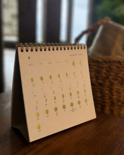 暦の上では、今日から秋。🌿

8月7日は「立秋」。

台風真っ只中の指宿ですが、ホテル通常営業しております😁

ふと吹く風や、少しずつ変わっていく夕暮れの空に
小さな秋の気配を感じる季節が始まります。

そして、もうひとつ。
この季節にぜひ楽しんでいただきたいのが、夏の夜空です🌌

8月12日の夜から13日未明にかけては、
「ペルセウス座流星群」が見頃を迎えます🌠

さらに今年は、8月13日が「新月」。
月明かりの影響がなく、流れ星を探すにはとても良い条件なのだそう。

温泉で身体をほどいたあとは、
少しだけ夜更かしをして、空を見上げてみませんか？

海と空に囲まれた指宿で、
夏から秋へと移ろう季節を感じるひとときを。

皆さまはいくつ流れ星を見つけられるでしょうか🌠

ーーーーーーーーーーーーーーーー⁣
⁣@ibusukiroyalhotel
☝🏻タップして他の投稿もチェック★⁣

ご予約・お問い合わせ⁣
指宿ロイヤルホテル⁣
📞0993-23-2211⁣
受付時間　9:00〜17:00⁣
⁣
鹿児島県指宿市十二町4232-1 ⁣
指宿駅からタクシーで6分にある指宿ロイヤルホテル

#指宿 #指宿ロイヤルホテル #鹿児島 #鹿児島観光