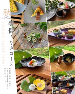 🍂 夏を頑張ったわたしへ、秋支度の旅を。

まだ暑さの残る指宿にも、
少しずつ秋の気配が訪れはじめます。

季節が移ろうこの時期にご提案するのは、
心と身体をいたわる秋の【美巡旅】。

今回の主役は、鹿児島県産うなぎ。

白焼きうなぎの天ぷらや、
季節野菜と合わせたキッシュ、
うなぎ飯の生春巻き仕立てなど、
“いつものうなぎ”とはひと味違う
「美健うなぎコース」をご用意しました。

一皿ごとに、
まだ知らなかったうなぎのおいしさとの出会いを。

夜は「夕涼みBAR」へ🌙
潮風を感じながら線香花火を眺め、
過ぎゆく夏と、訪れる秋を楽しむひととき。

温泉に浸かって、美味しいものを味わって、
心も身体もゆっくり秋へ。

🍂【美巡旅／秋】
～まだ知らない、うなぎに出会う旅。～
2026年9月30日まで

今年の秋支度は、指宿ロイヤルホテルで。

ーーーーーーーーーーーーーーーー⁣
⁣@ibusukiroyalhotel
☝🏻タップして他の投稿もチェック★⁣

ご予約・お問い合わせ⁣
指宿ロイヤルホテル⁣
📞0993-23-2211⁣
受付時間　9:00〜17:00⁣
⁣
鹿児島県指宿市十二町4232-1 ⁣
指宿駅からタクシーで6分にある指宿ロイヤルホテル

#指宿ロイヤルホテル #鹿児島 #指宿 
#指宿温泉
